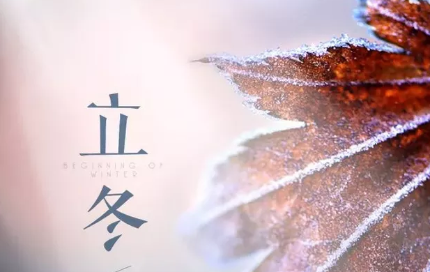 立冬已至，夏秋已逝